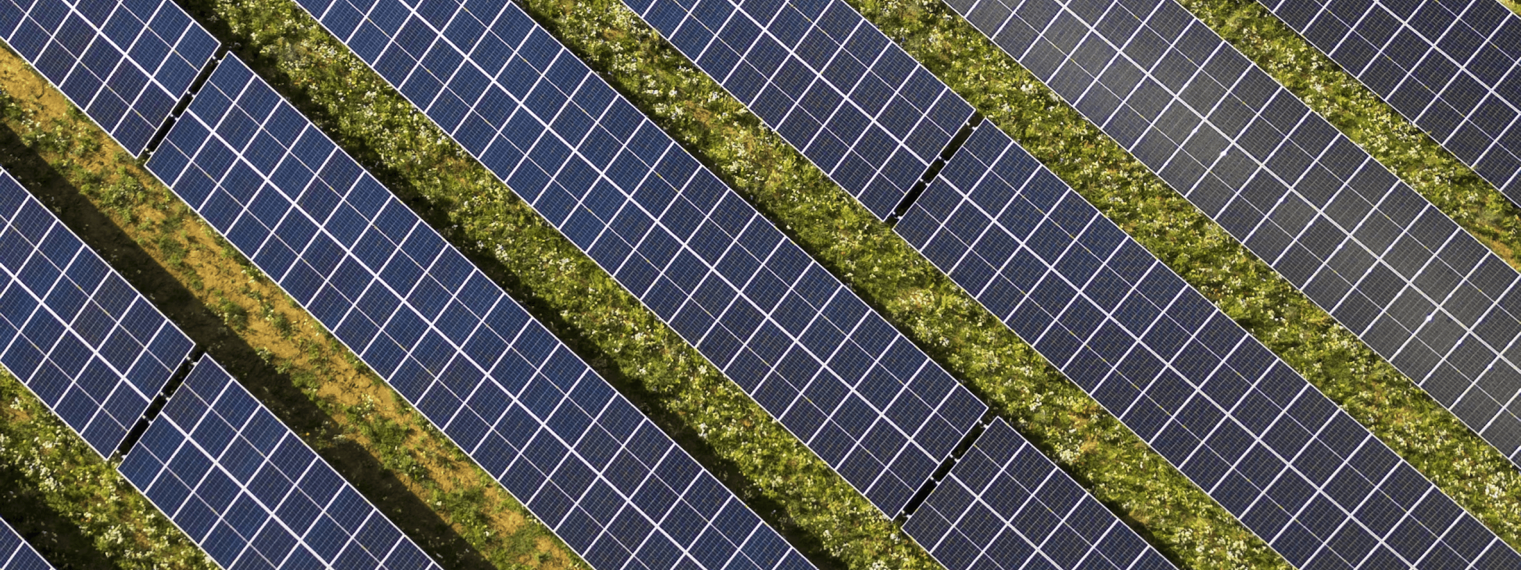 Top down image of a solar panel farm